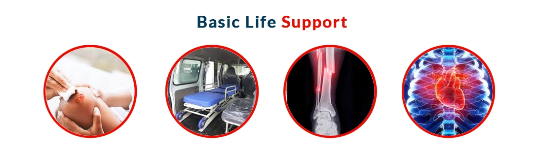 Basic Life Support Ambulances